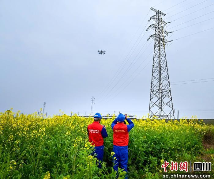 国网盈盈彩app官网平台介绍电力提前
