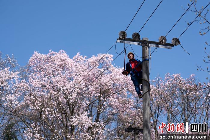 继续了解该站所在的阿坝