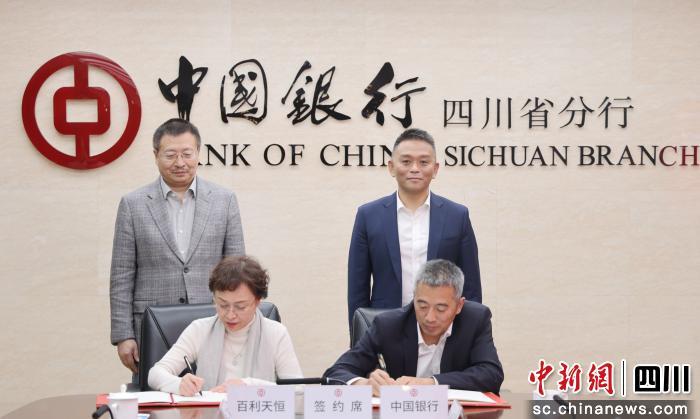 金融机构