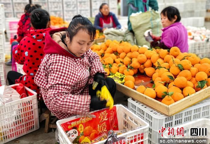 打包封装