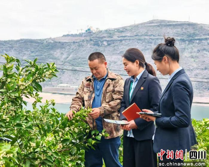 把惠农政策