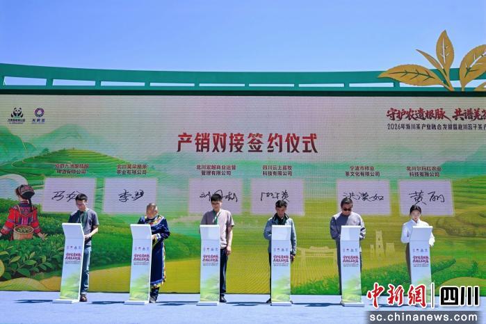 全国采购商及茶企负责人等300余人齐