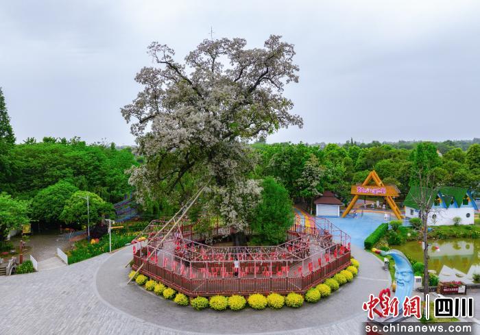 吸引盈盈彩app下载新人权益