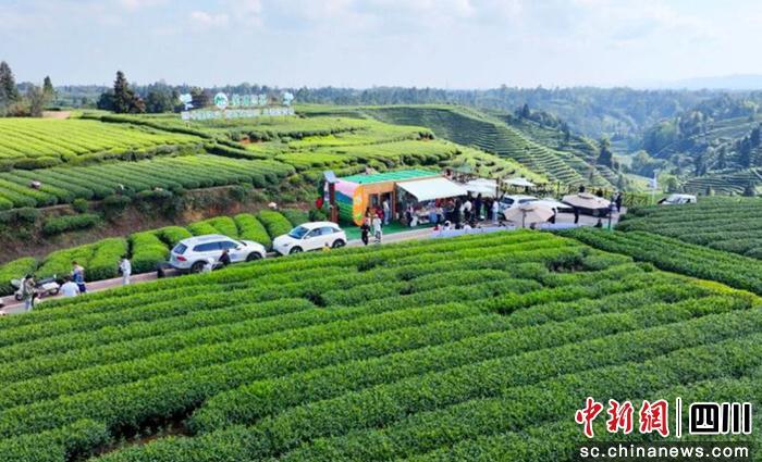 名山区以茶叶交易市场为枢纽