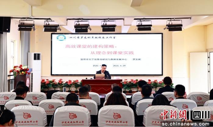 本次研修活动有来自盈盈彩app官网手