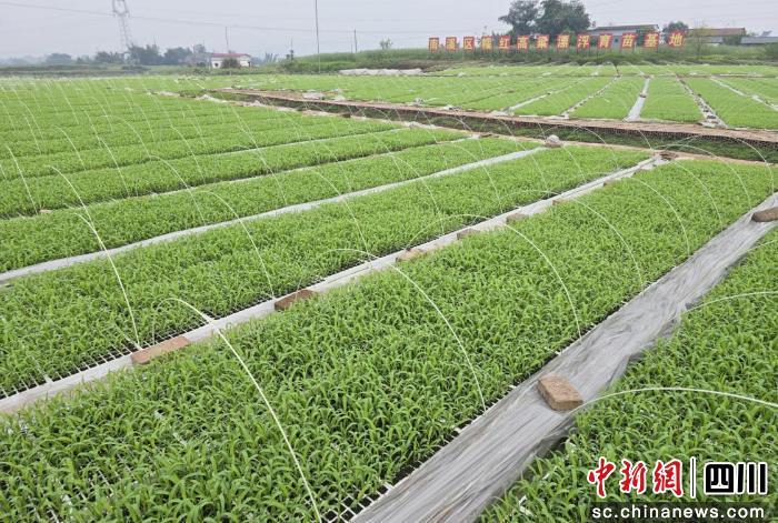 水利建设等重点领域