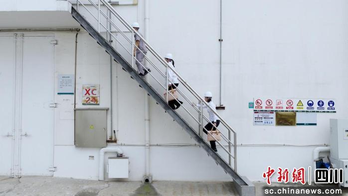 夏粮收购是全年粮食丰收的“第一仗”