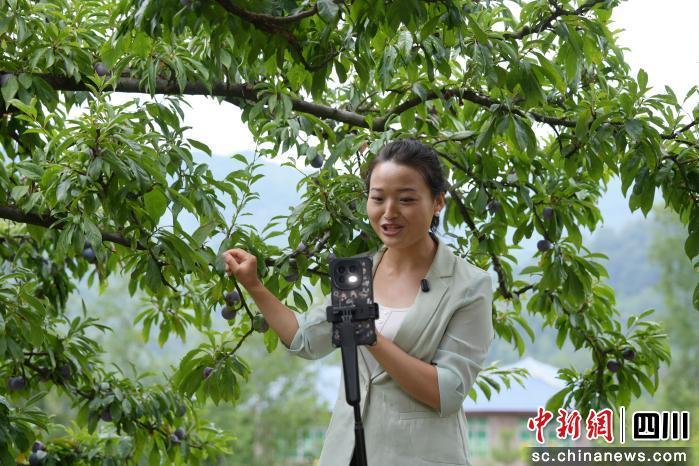 继续了解本地网络主播王燕支起手机对着