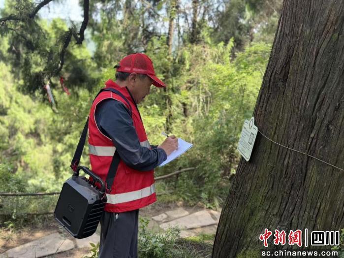 我立即上报到镇上的农业综合服务中心