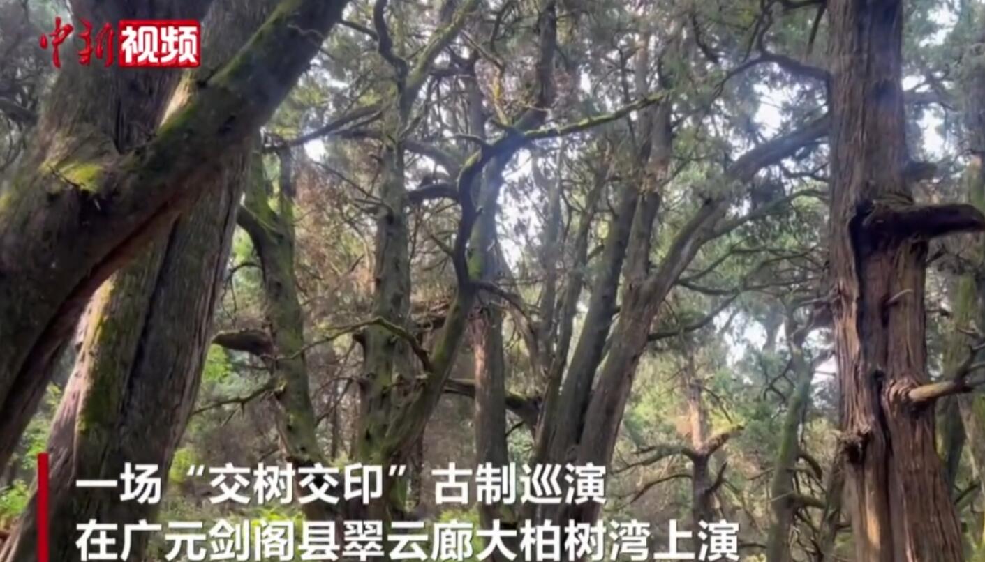 持续用力