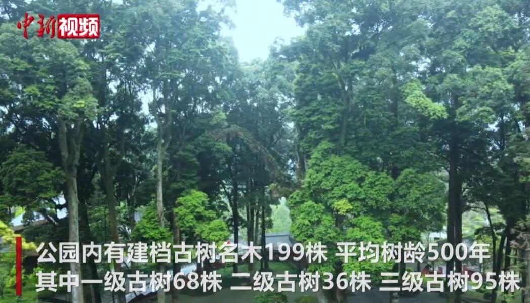 认真听取每个点位的介绍