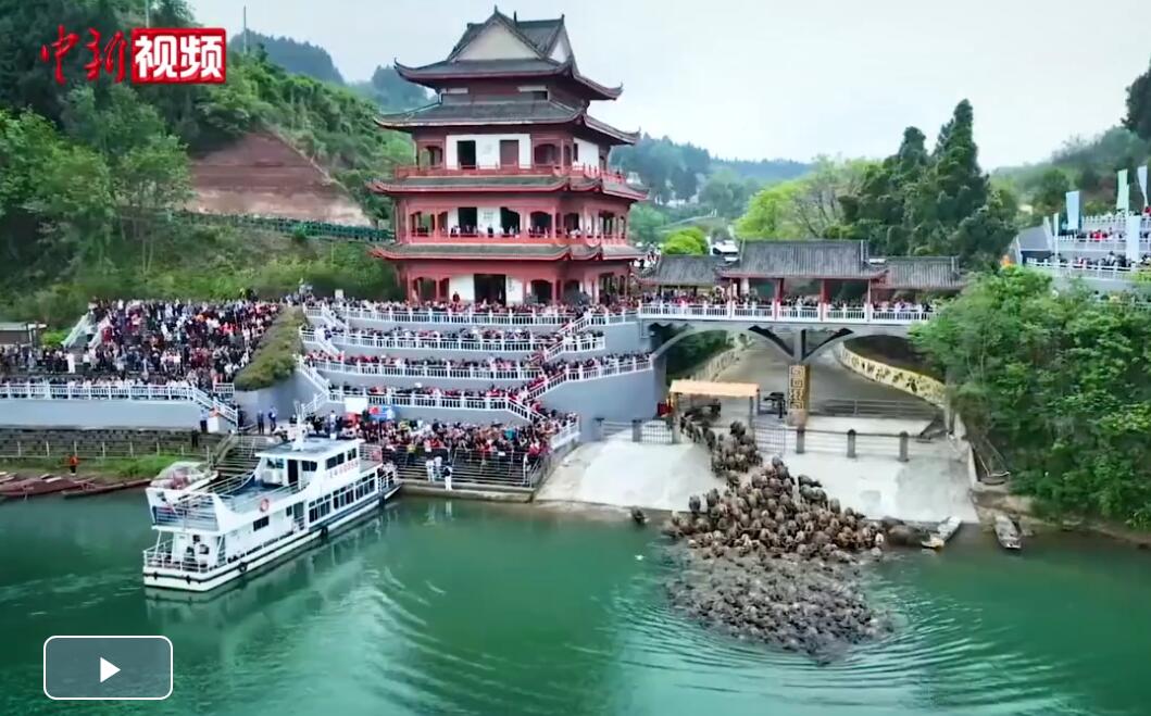 盈盈彩app下载优惠活动联通与26家