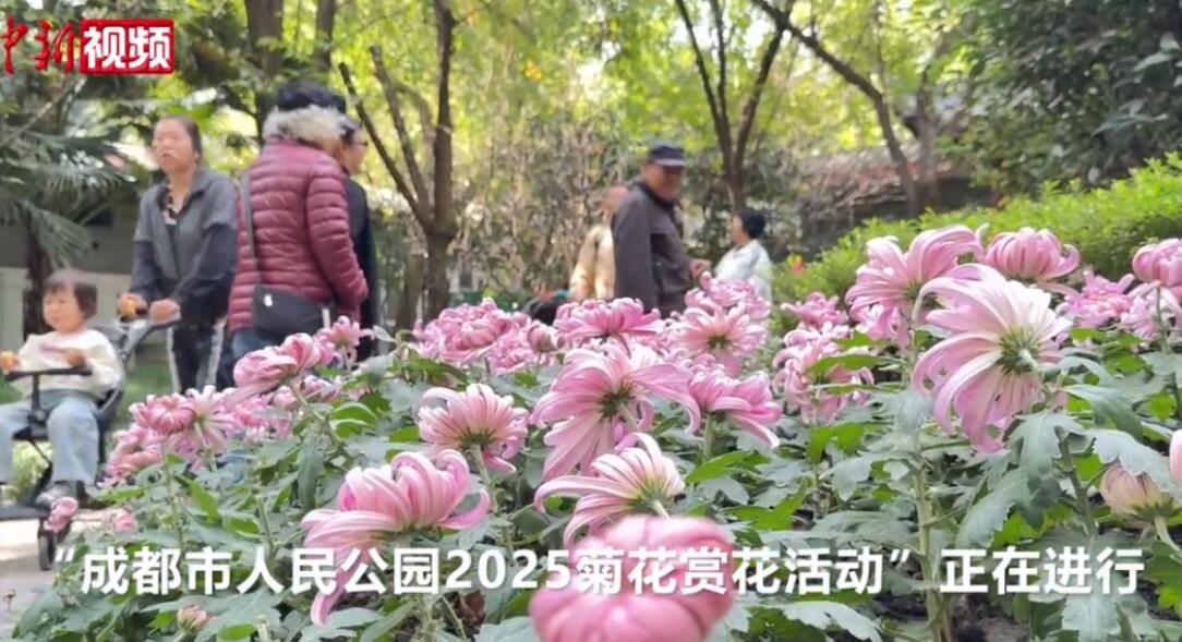 版权均属于中新社