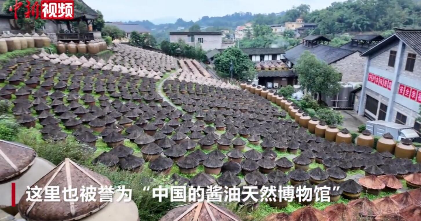 记者：何浠