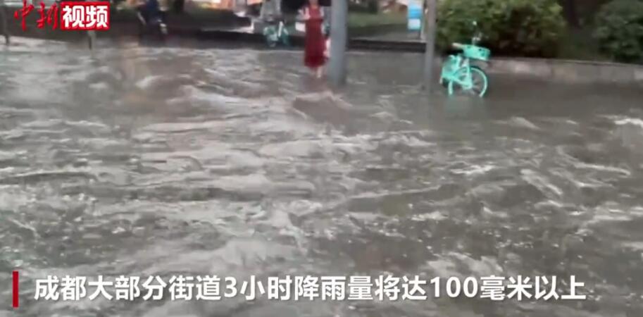 宜宾市政府副秘书长李强等分段陪同