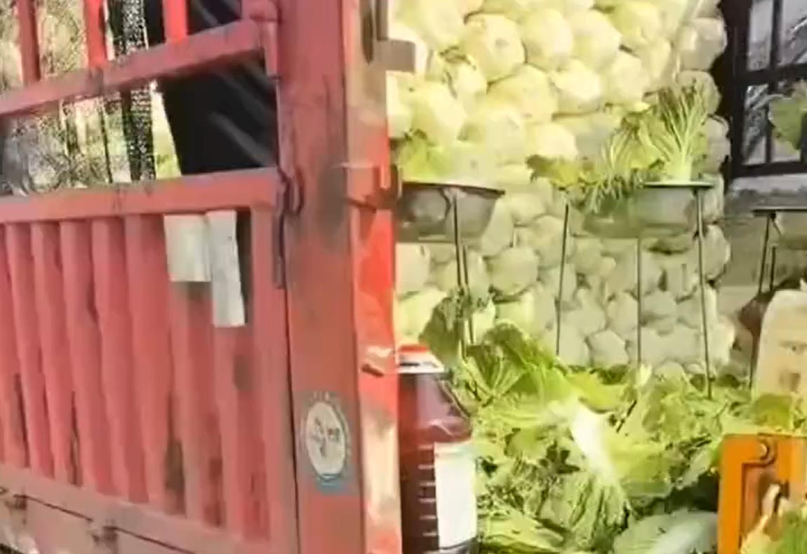 草原骏马奔腾“岭·格萨尔王”音乐季开