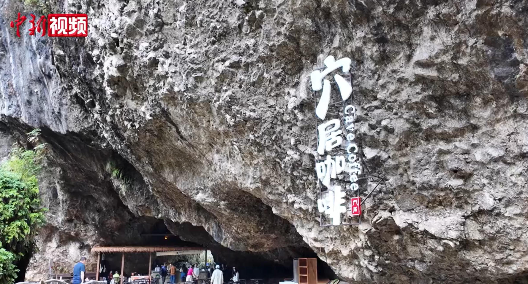 海外华文媒体代表走进盈盈彩app下载