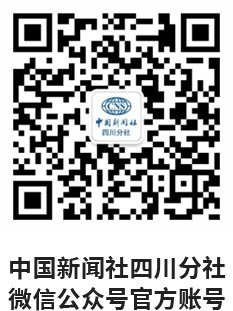 从低空飞行到智能制造 海外华媒探访巴