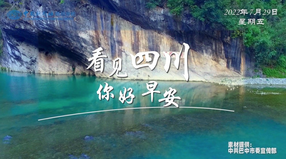 解说乐至县城市主干道的紫叶李花迎春绽