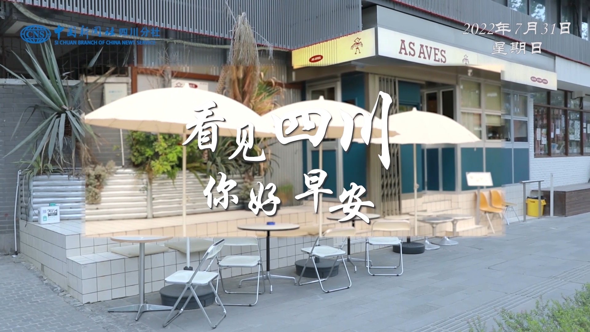 列车与盛放的油菜花构成一幅灵动的春日