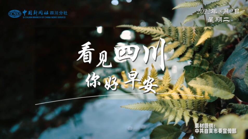 解说自贡灯会开启超长待机
