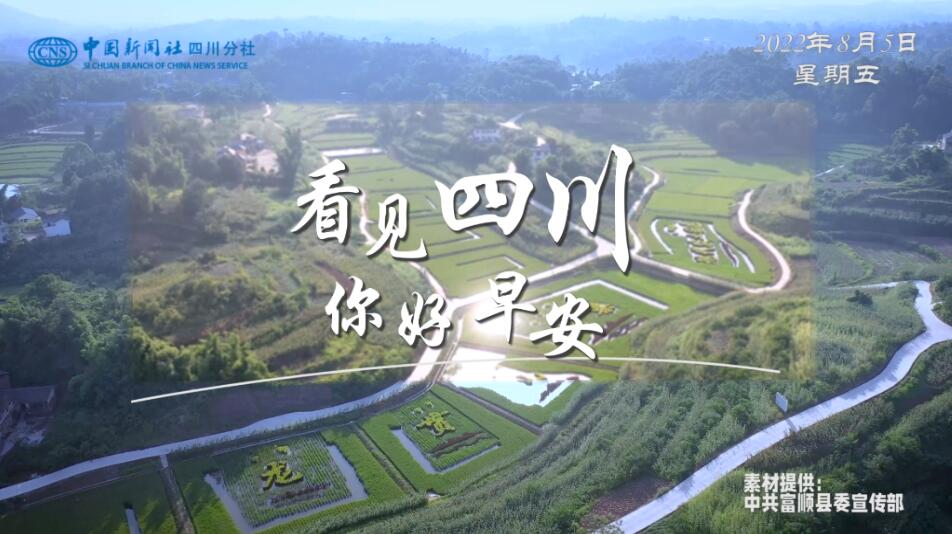 高大的泡桐树缀满钟形花冠