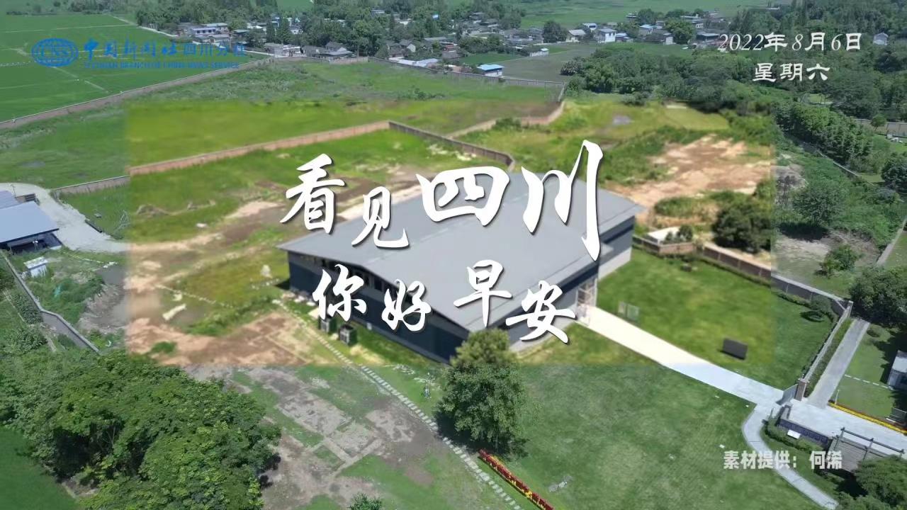 解说你看
