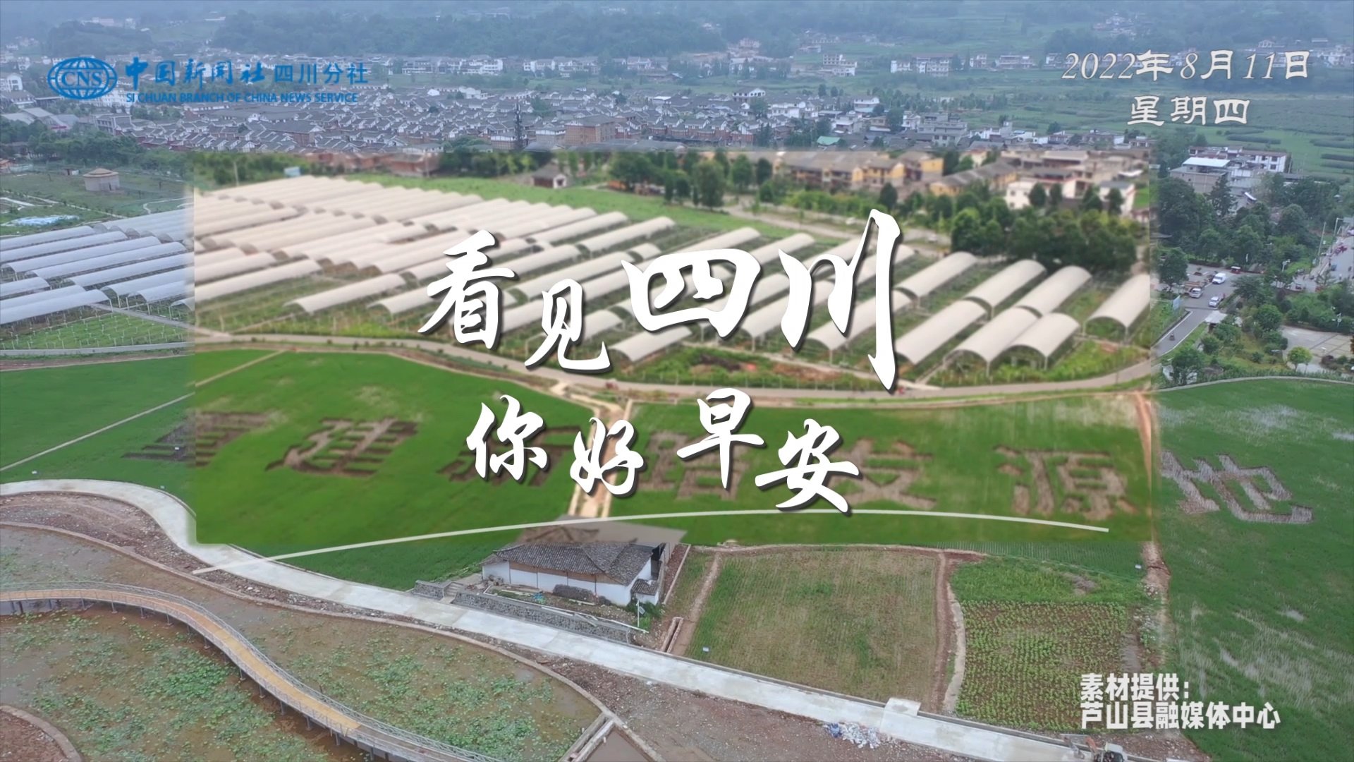 盈盈彩app官网