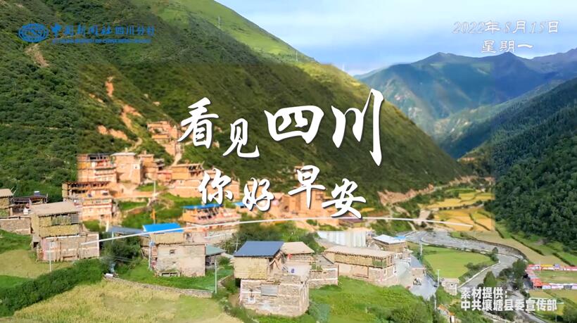 游客在花海中一边欣赏美景