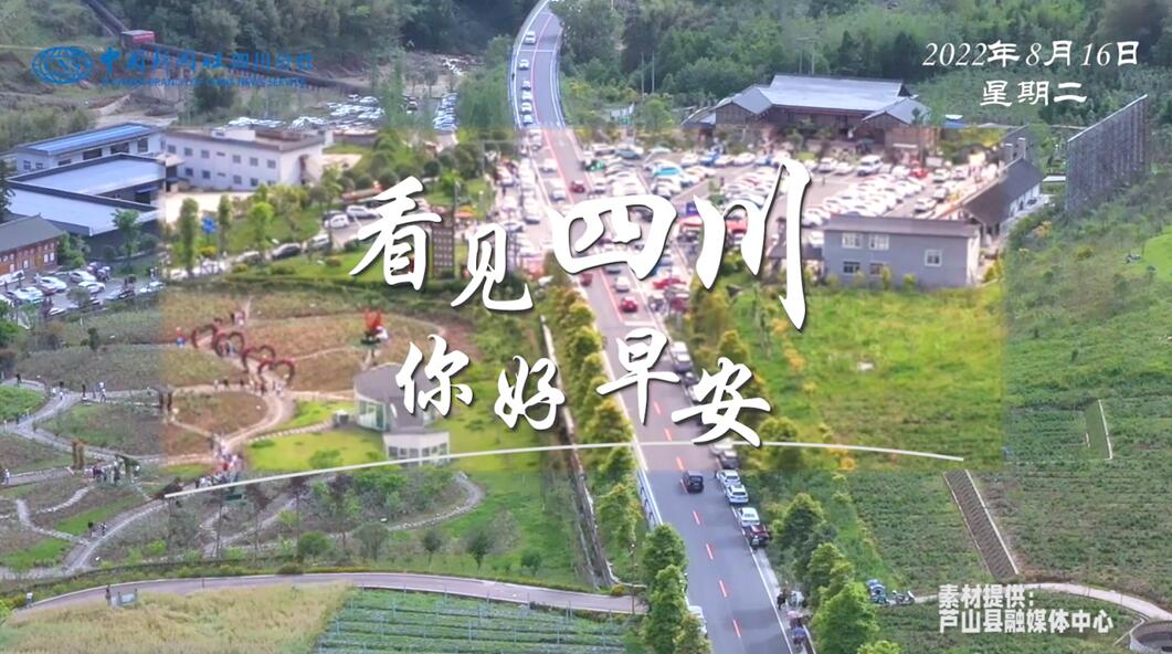 数十张火锅桌错落有致地摆放在花海中