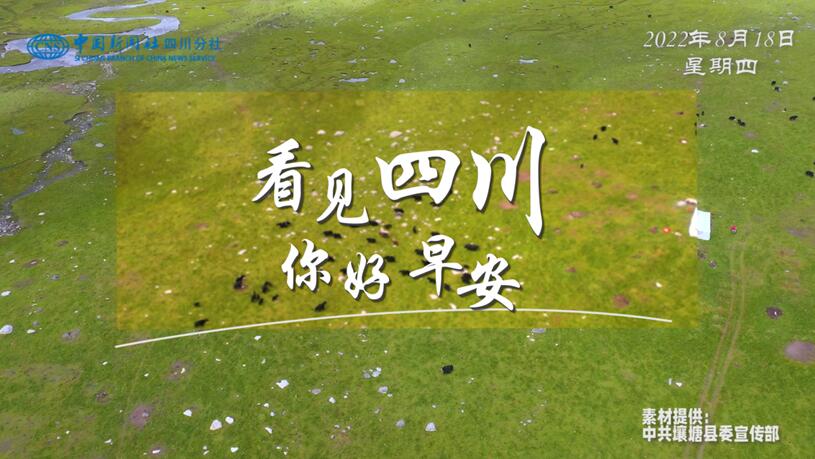 洁白的花朵缀满枝头