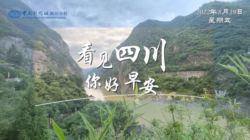 繁花缀满枝头
