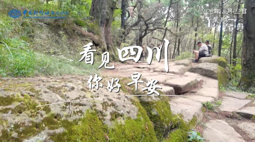 被誉为开往春天的嘉阳蒸汽小火车穿行在