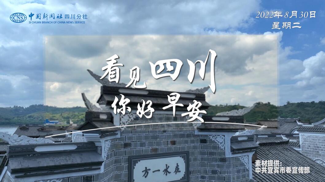 粉白花朵绽放在古寺院落