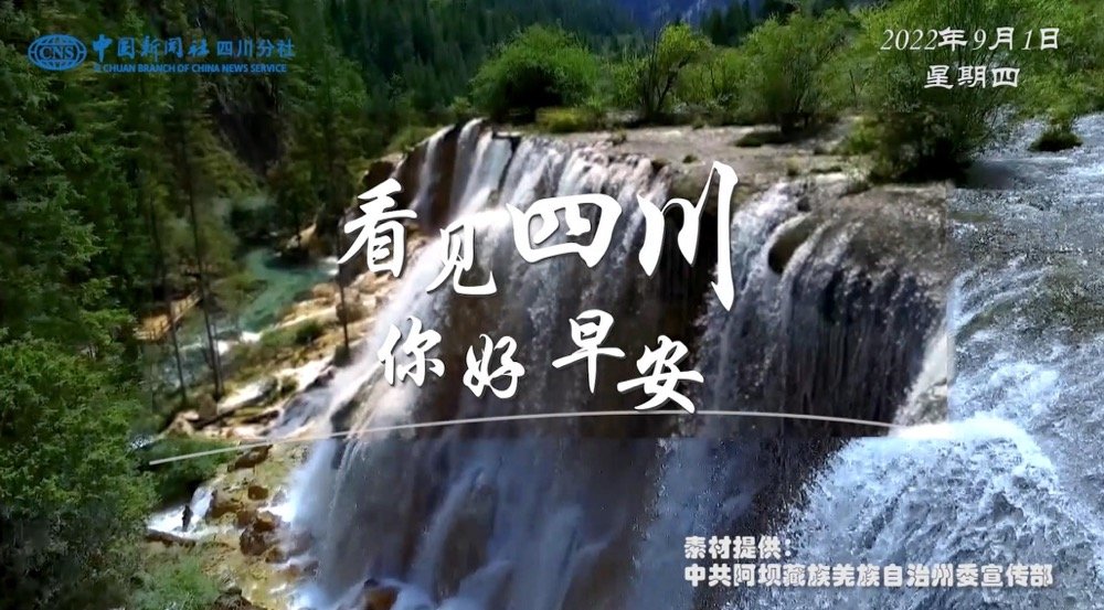 解说雅安市名山区的茶山迎来了最富生机
