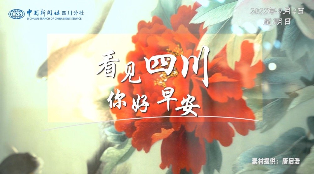 毛茸茸的