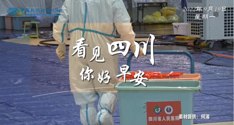 金山村温室大棚里黑褐饱满的羊肚菌破土