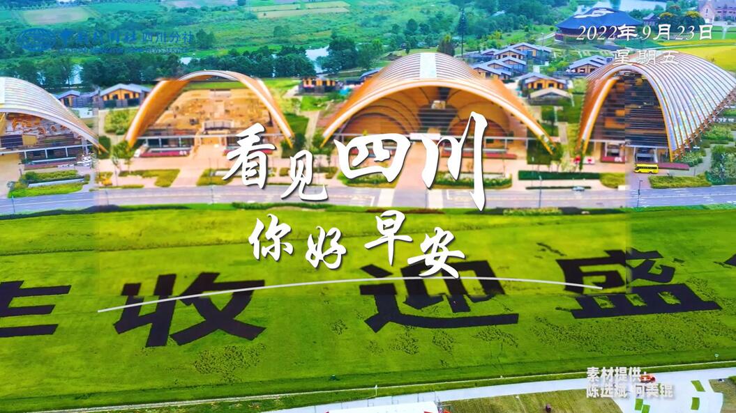 盈盈彩app官网