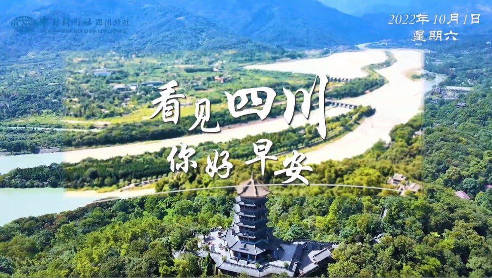 洁白的花朵缀满枝头