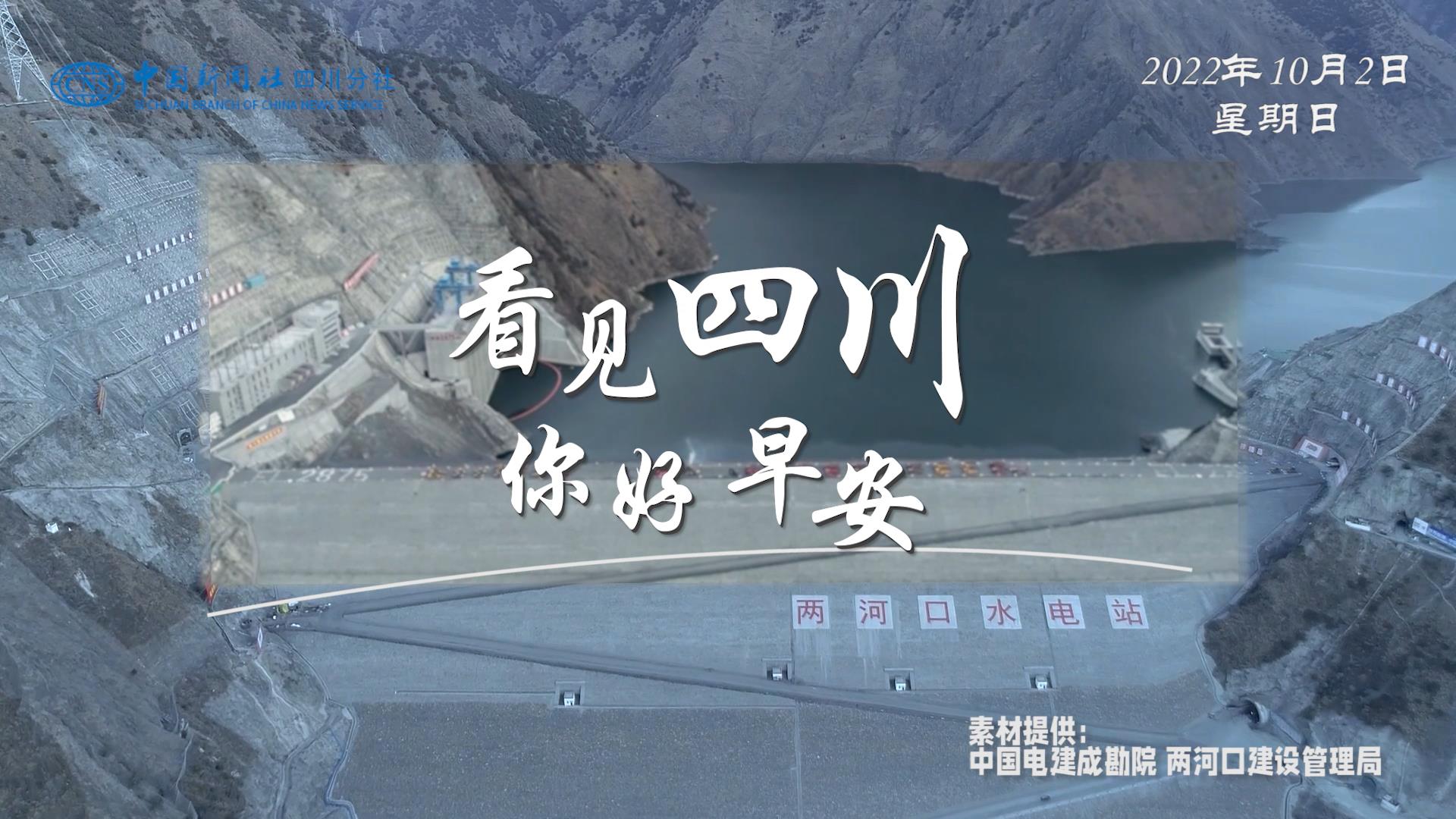 繁花缀满枝头