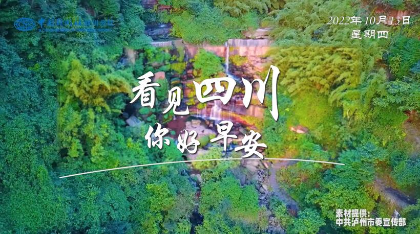 粉白花朵绽放在古寺院落