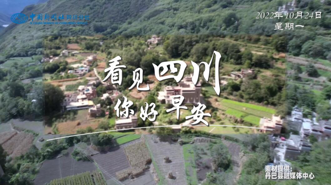 解说乐至县城市主干道的紫叶李花迎春绽