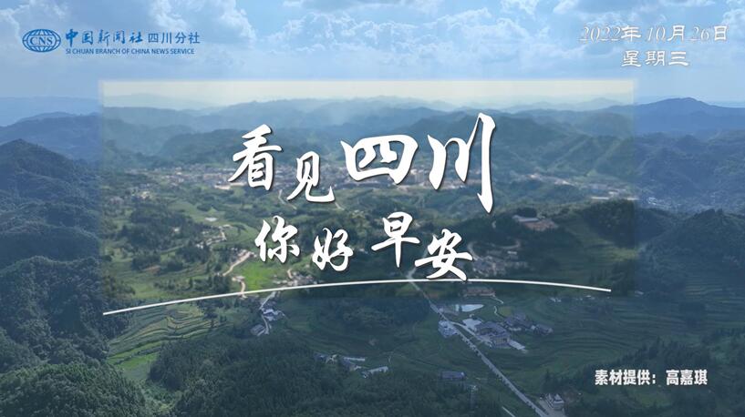 列车与盛放的油菜花构成一幅灵动的春日