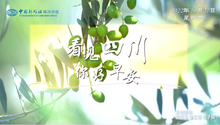 满足游客赏灯游玩的需求