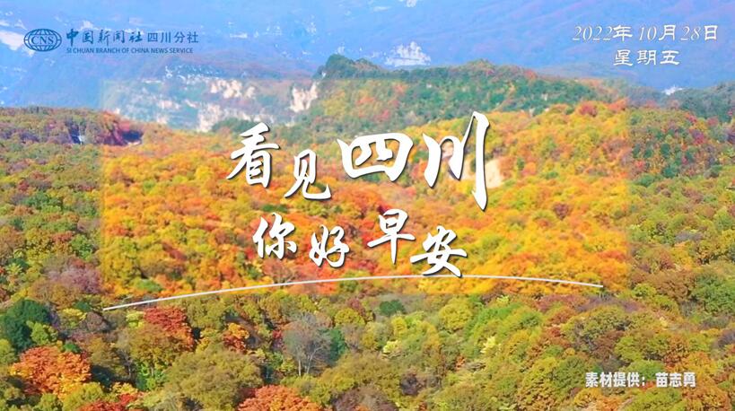 解说自贡灯会开启超长待机