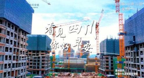 高大的泡桐树缀满钟形花冠