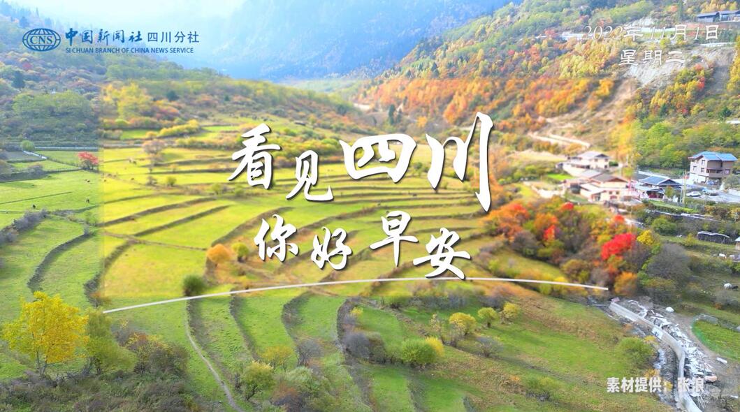 解说你看