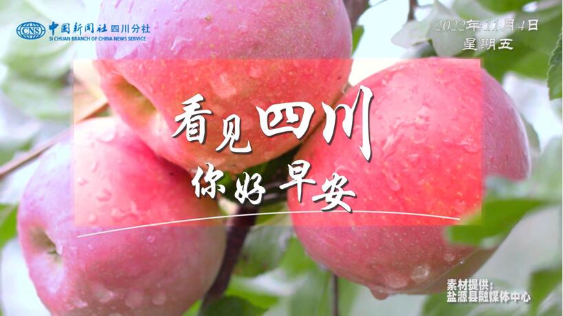 解说平武报恩寺百年玉兰迎来盛花期