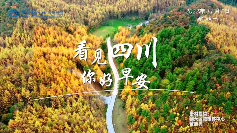 一芽一芽往外窜