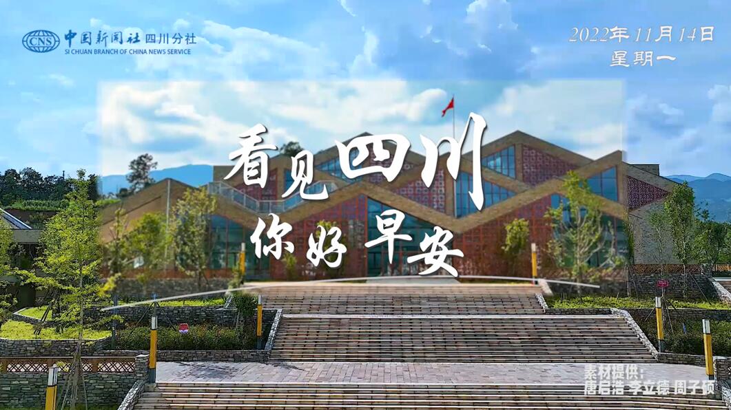 繁花缀满枝头
